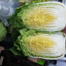 河北黄心白菜玲珑黄，基地直供量大从优品质保障，冷库