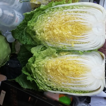 河北黄心白菜玲珑黄，基地直供量大从优品质保障，冷库