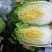 河北黄心白菜玲珑黄，基地直供量大从优品质保障，冷库