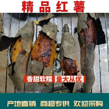 【🔥优质红薯】番薯绵甜商超**大量上市欢迎来电