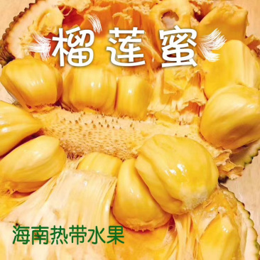 海南榴莲蜜当季热带水果湿包菠萝蜜榴莲口味