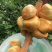 海南榴莲蜜当季热带水果湿包菠萝蜜榴莲口味