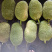 海南榴莲蜜当季热带水果湿包菠萝蜜榴莲口味