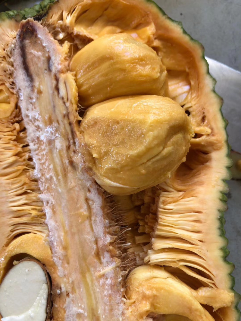 海南榴莲蜜三亚当季热带水果菠萝蜜湿包榴莲口味嫁接。