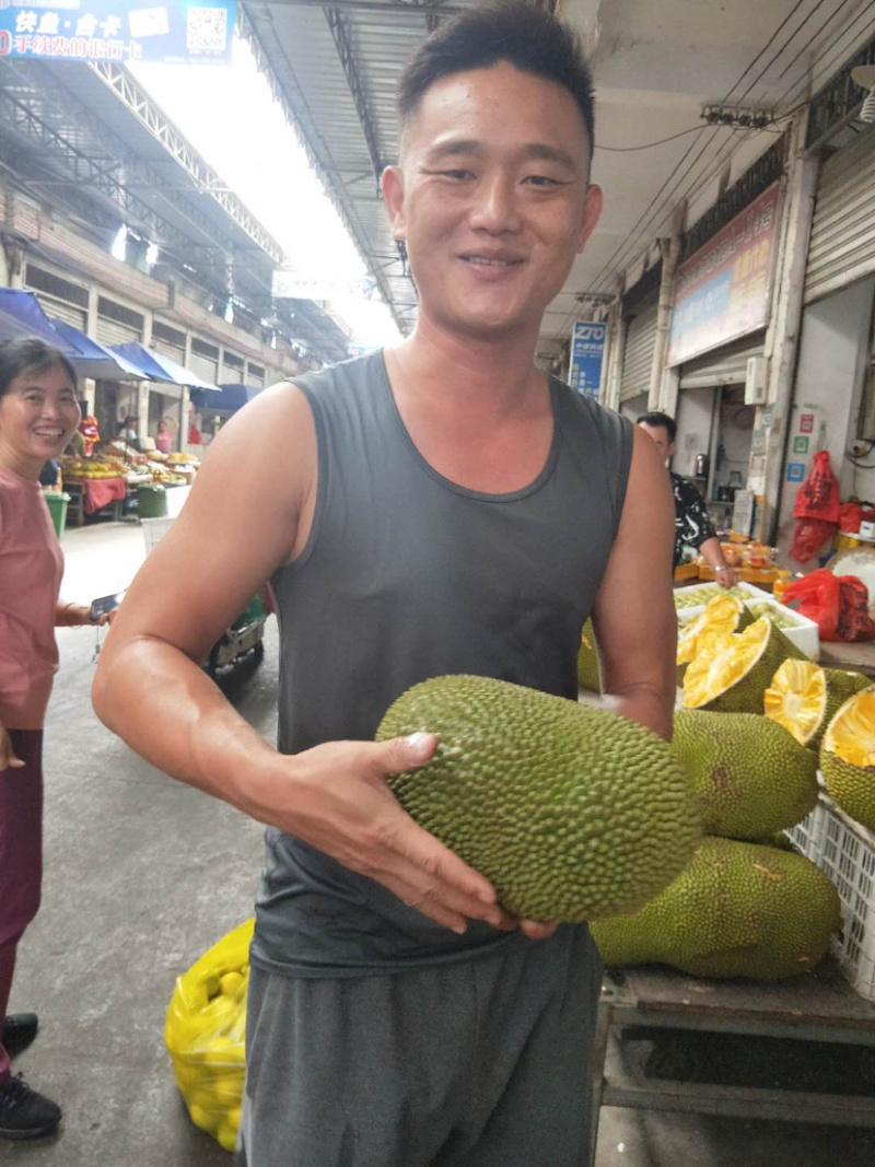 海南榴莲蜜三亚当季热带水果菠萝蜜湿包榴莲口味嫁接。