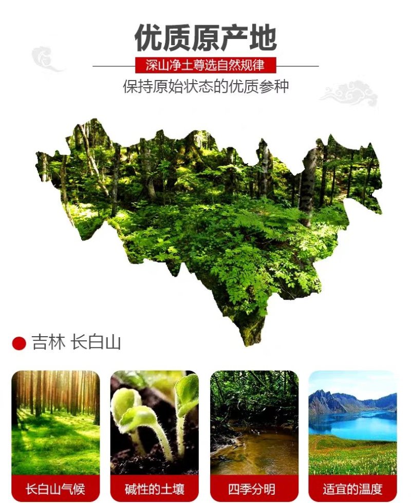 长白山特产人参生晒参白参产地直发礼盒装包邮