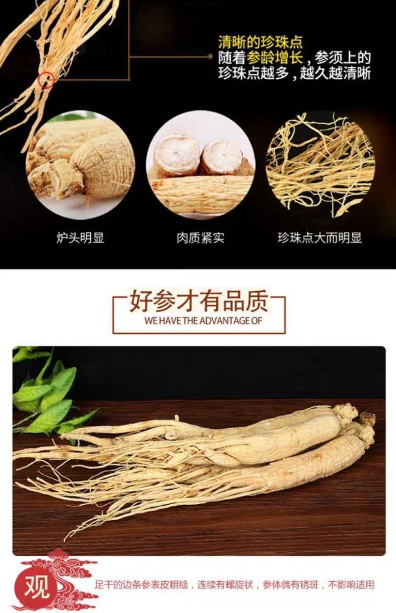 长白山人参白参生晒参棒槌产地直发一手货源高品质