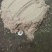 稻壳粉质量保证，大量有货，欢迎咨询量大从优厂家直销