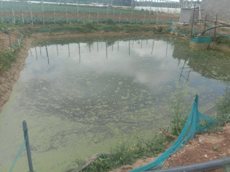 陆良21蔬菜用地转让，点击查看详情，条件好