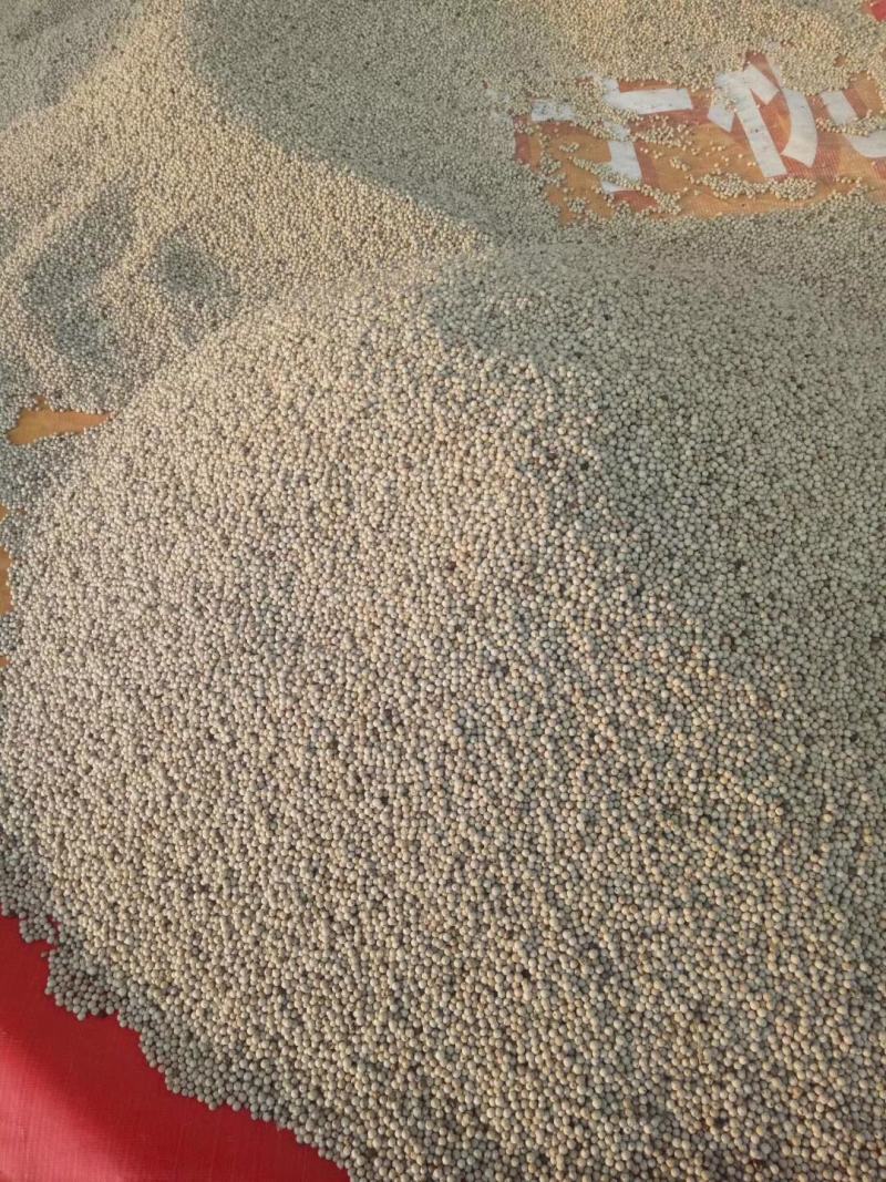海南胡椒可以调料！！