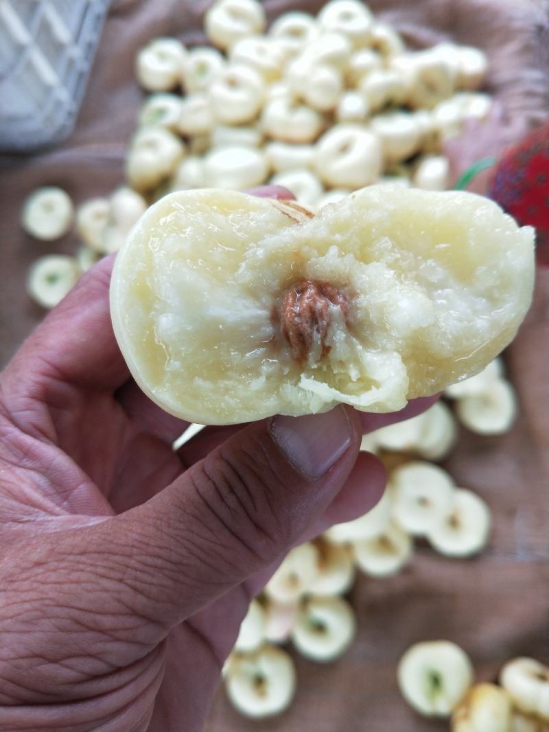 蜜桃白蟠桃油蟠桃蟠桃奶油蟠桃蒙阴蜜桃白桃一件代发