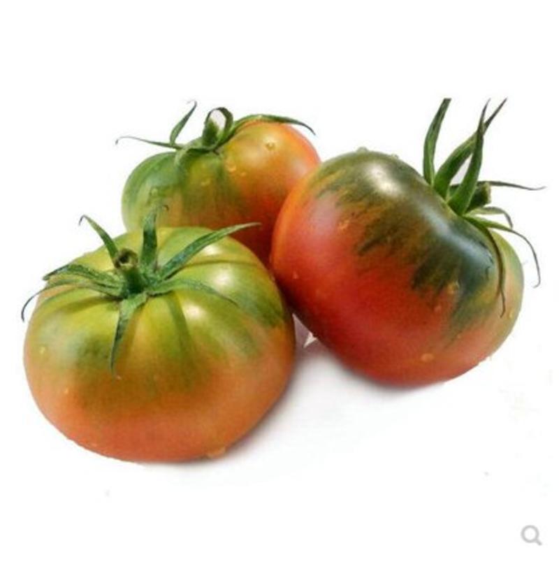 草莓番茄苗，酸甜口味，口感番茄苗，绿肩番茄苗