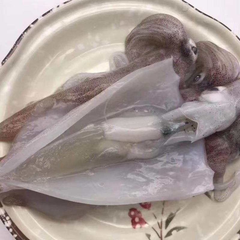 带籽母管饭管有卵东山本港鱿鱼香糯弹牙