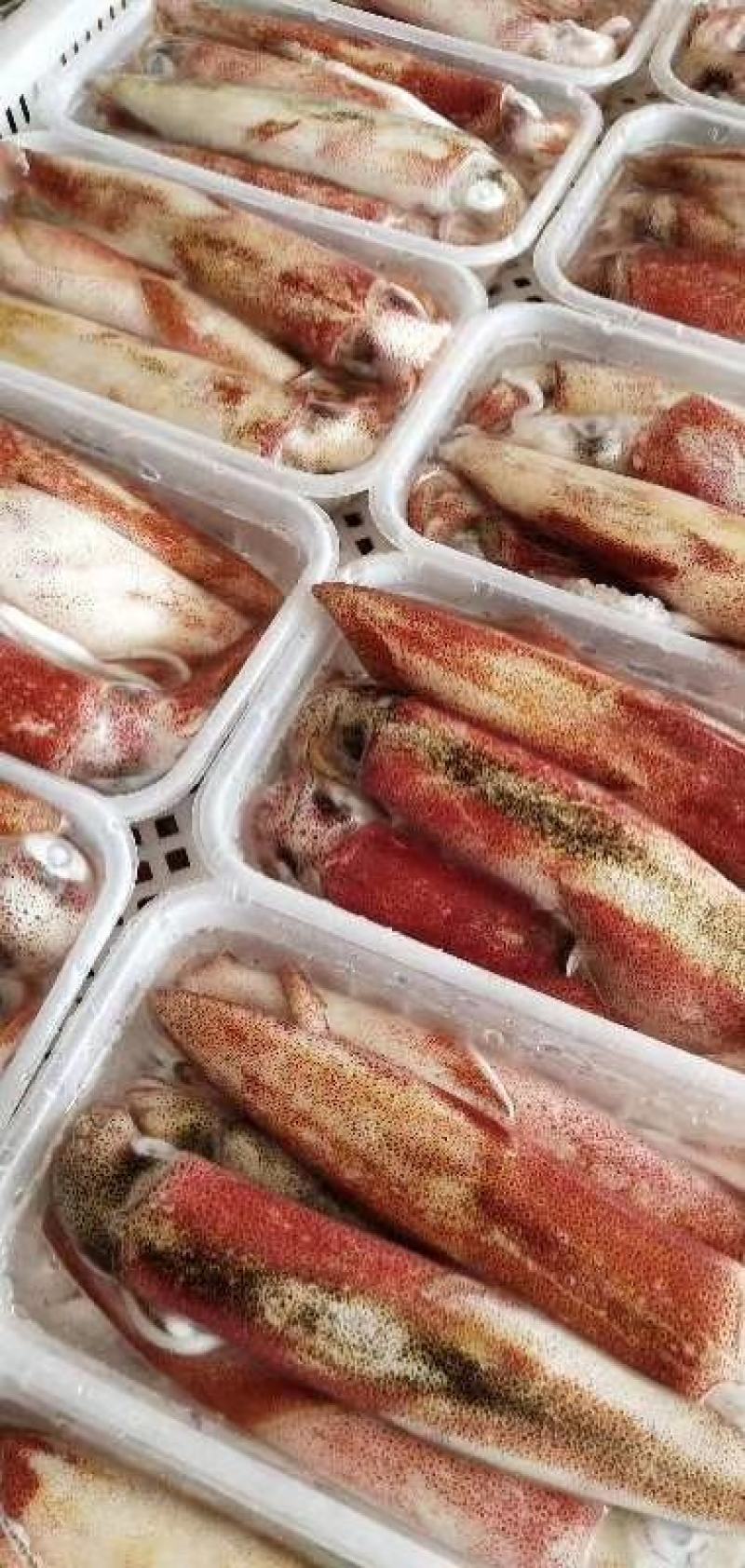 带籽母管饭管有卵东山本港鱿鱼香糯弹牙