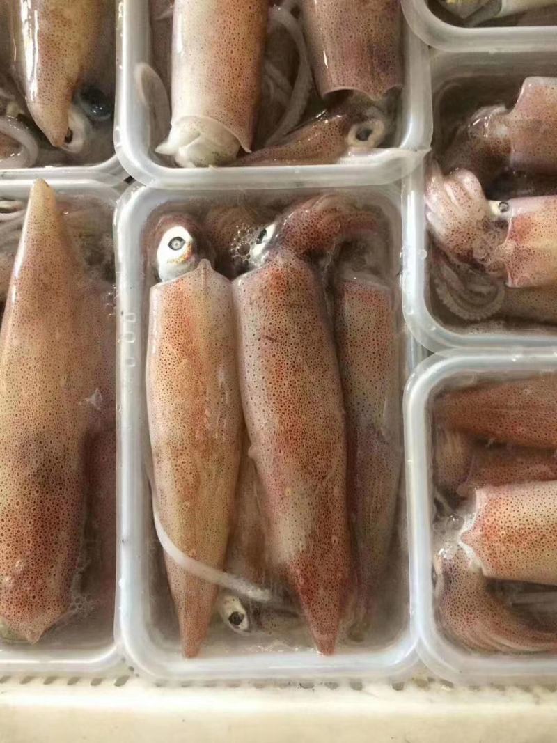 带籽母管饭管有卵东山本港鱿鱼香糯弹牙