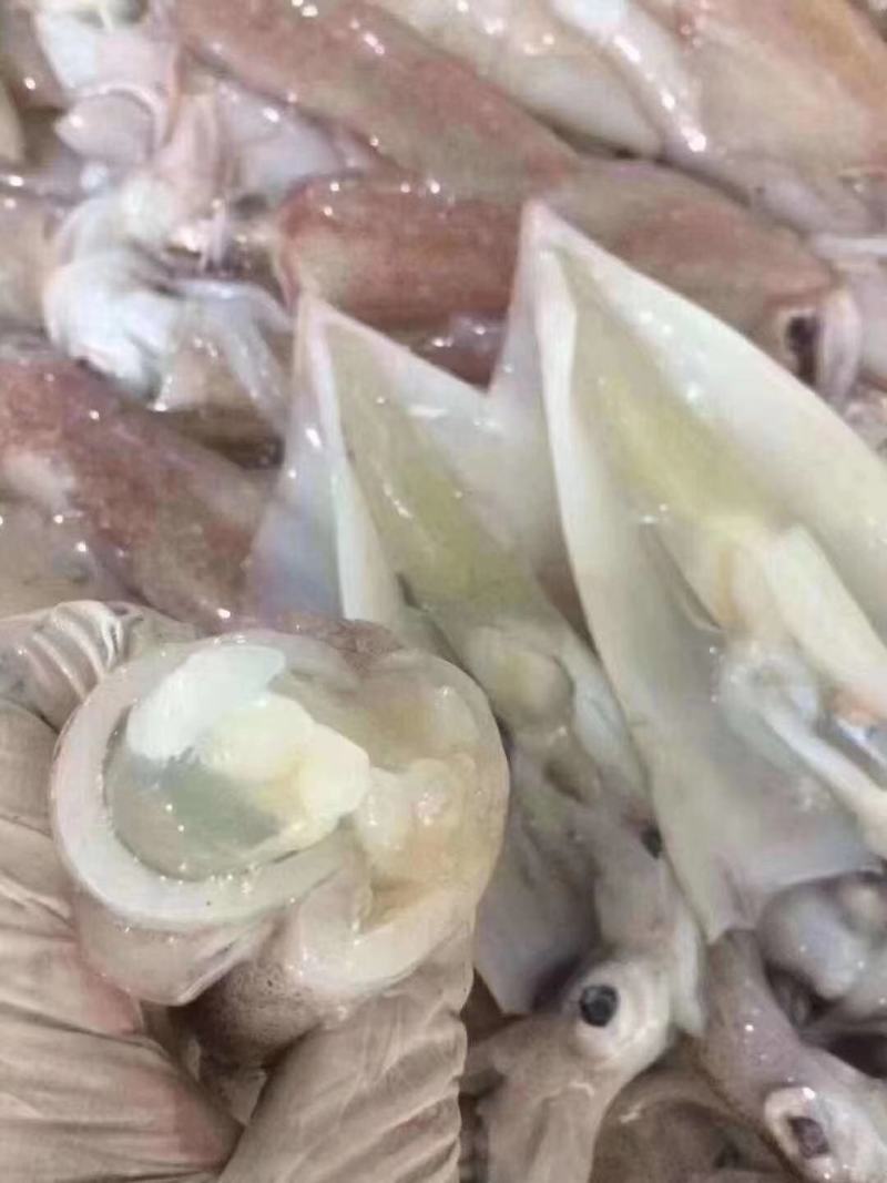带籽母管饭管有卵东山本港鱿鱼香糯弹牙