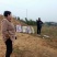 [蕲春艾草]蕲艾种苗，世界中医看中国中国艾草看蕲春。