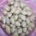 白果，常年批发供应药食同源白果中药材