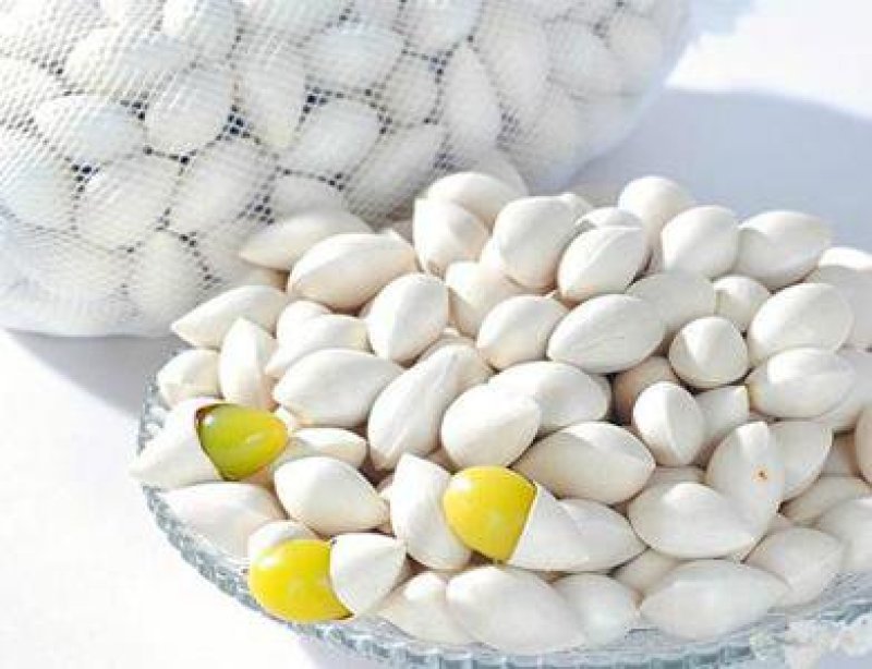 白果，常年批发供应药食同源白果中药材
