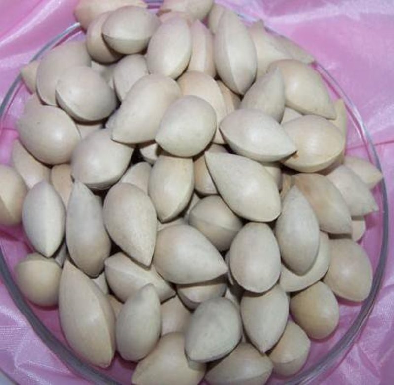 白果，常年批发供应药食同源白果中药材
