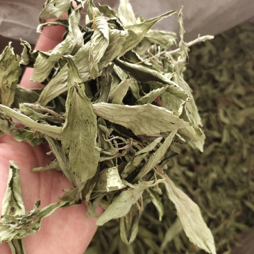 【文斌药业】甜叶菊茶用地道药材在线交易