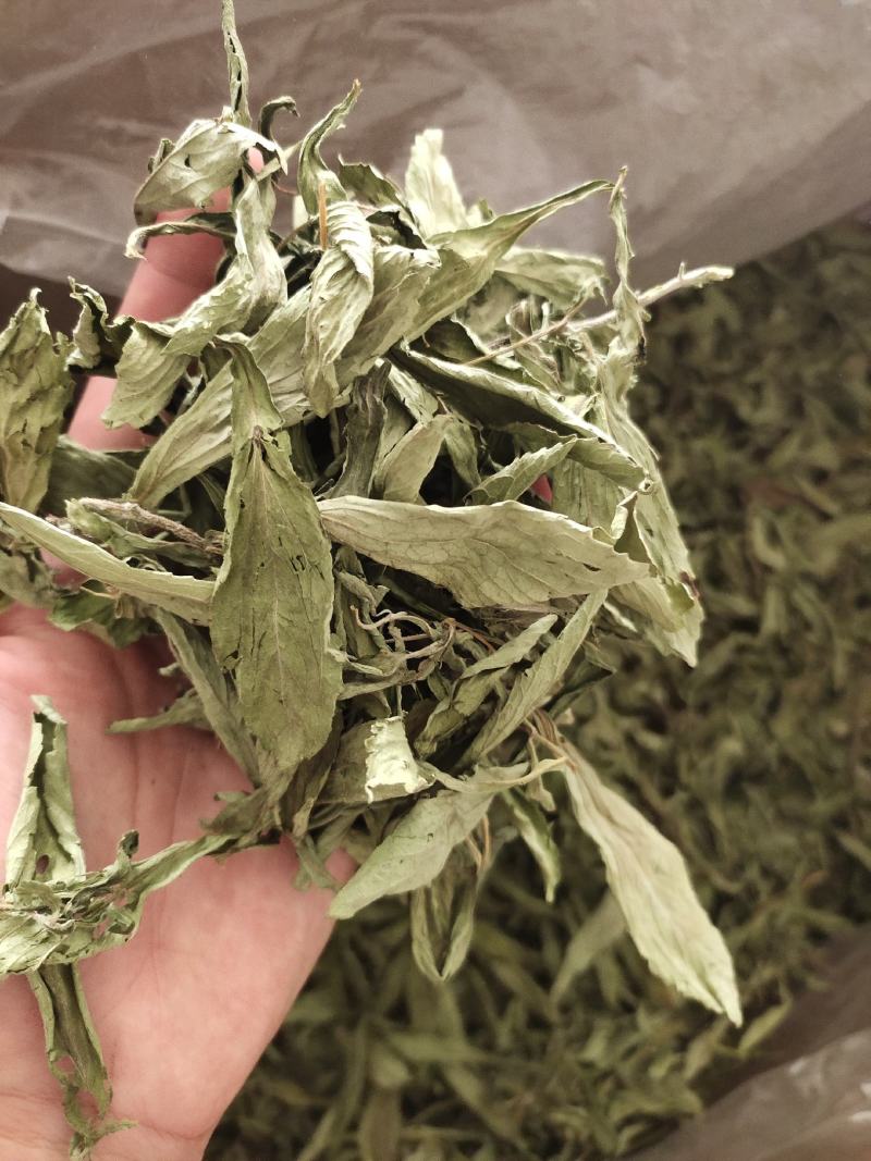 【文斌药业】甜叶菊茶用地道药材在线交易