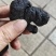 自己加工制熟地有大量货源欢迎选购，质量保证货真价实