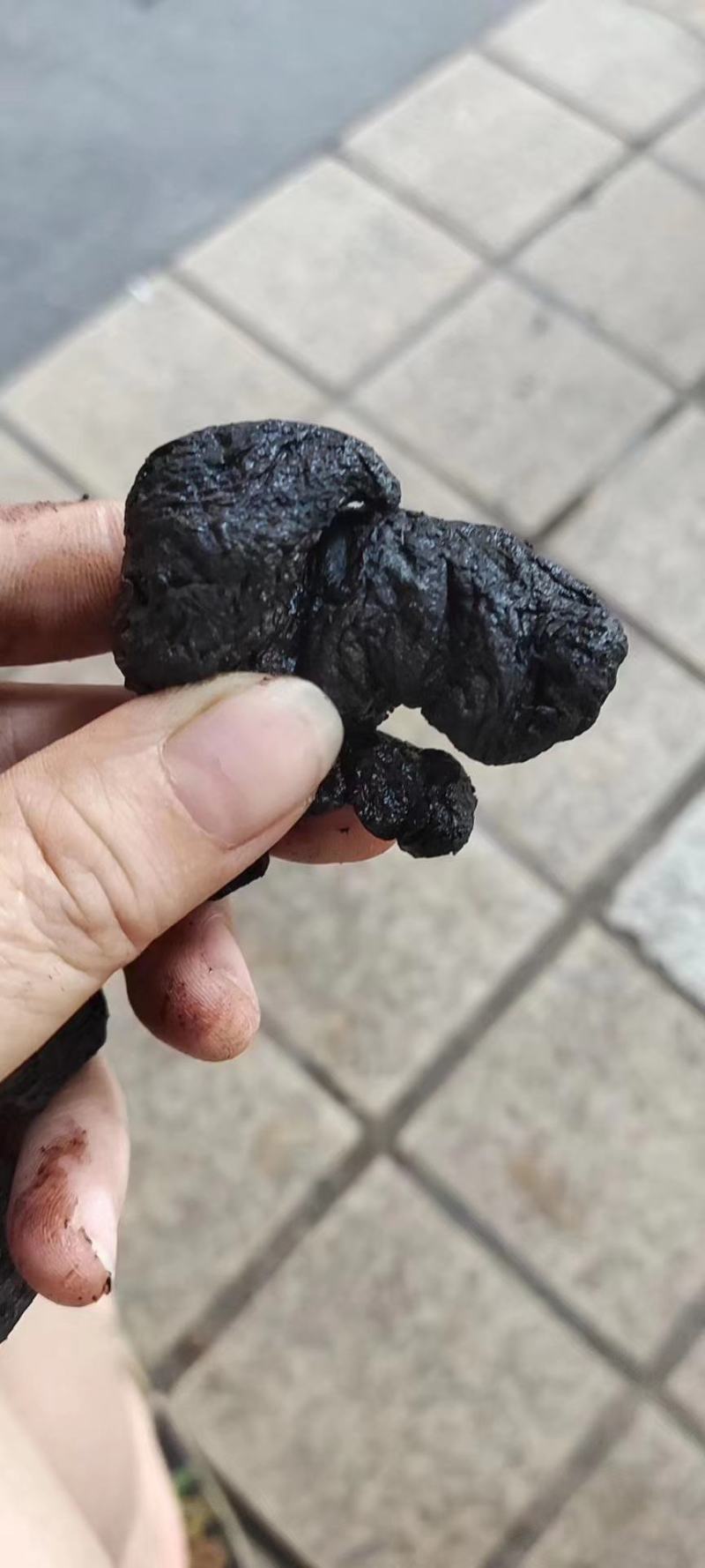 自己加工制熟地有大量货源欢迎选购，质量保证货真价实