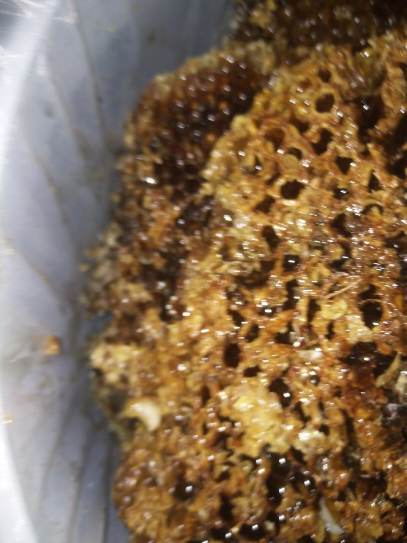 纯野生蜂蜜大自然的恩赐