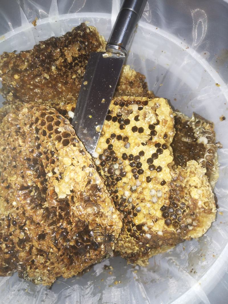 纯野生蜂蜜大自然的恩赐