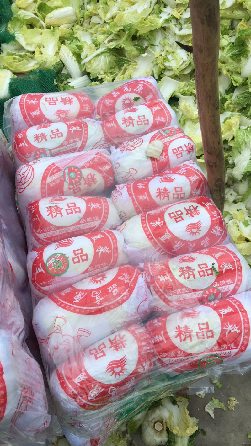 常年供应精品娃娃菜大小菜均有。优质毛菜大量现货