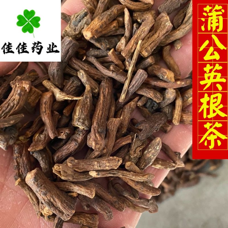 蒲公英根蒲公英根茶新货货干供应各种中药材