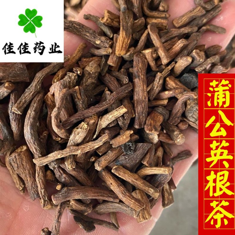 蒲公英根蒲公英根茶新货货干供应各种中药材