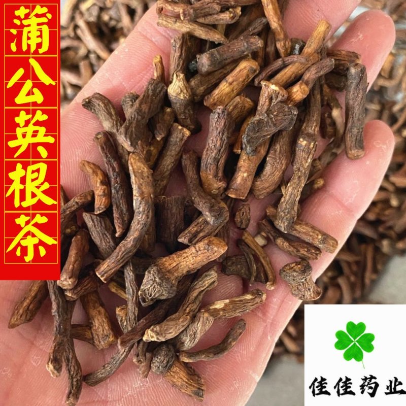 蒲公英根蒲公英根茶新货货干供应各种中药材