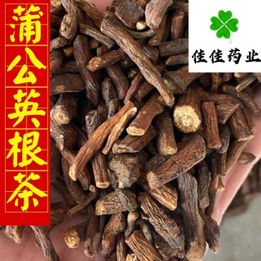 蒲公英根蒲公英根茶新货货干供应各种中药材