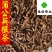蒲公英根蒲公英根茶新货货干供应各种中药材