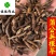 蒲公英根蒲公英根茶新货货干供应各种中药材