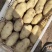基地土豆精品已陆续上市，欢迎各位老板前来洽谈！