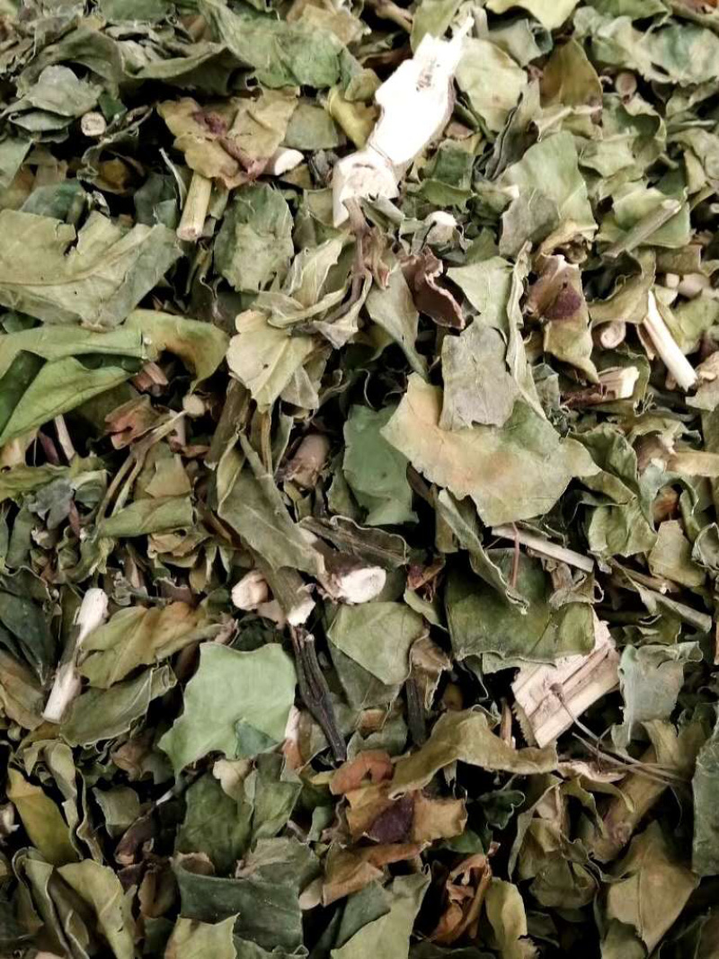 小驳骨【包邮】三斤起发货可批量可零售量大从优