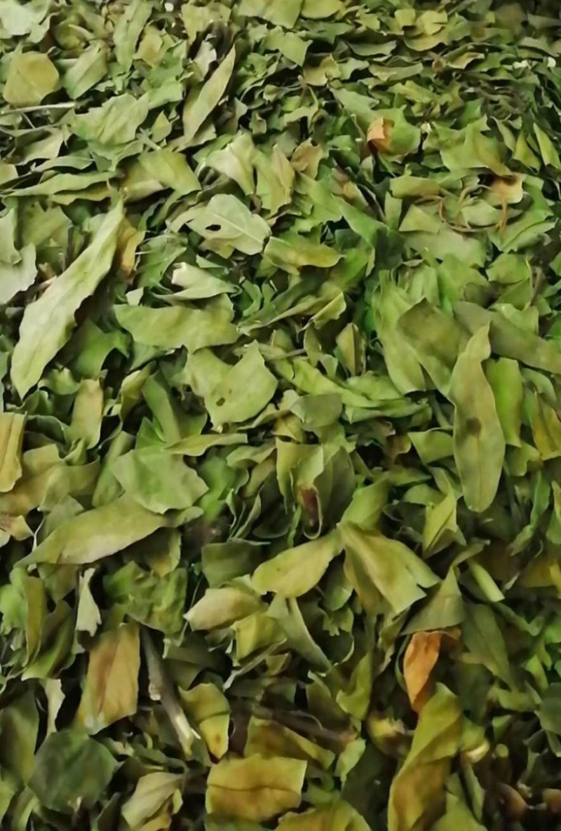 小驳骨【包邮】三斤起发货可批量可零售量大从优