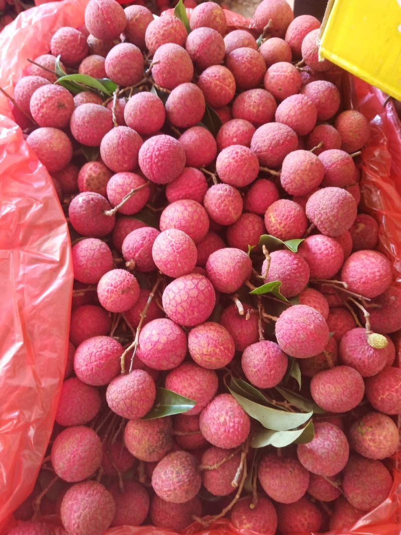 禾荔鸡嘴荔六月红荔枝专业代办代发货电商平台