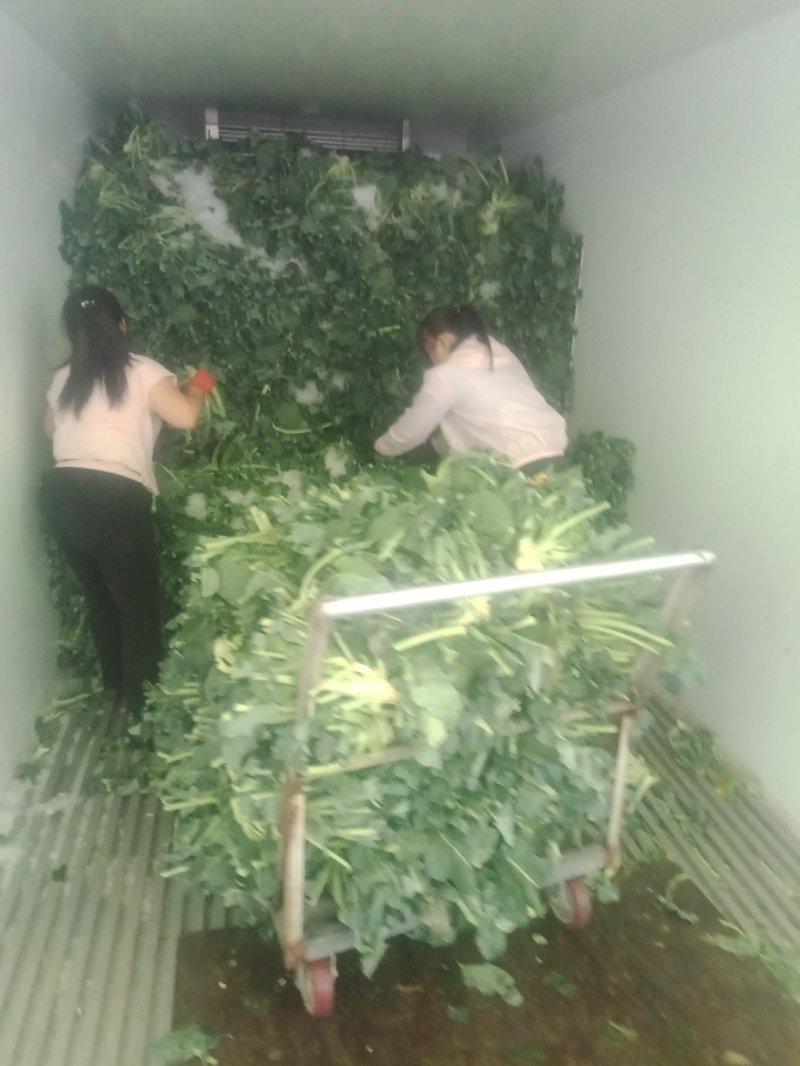 蔬菜