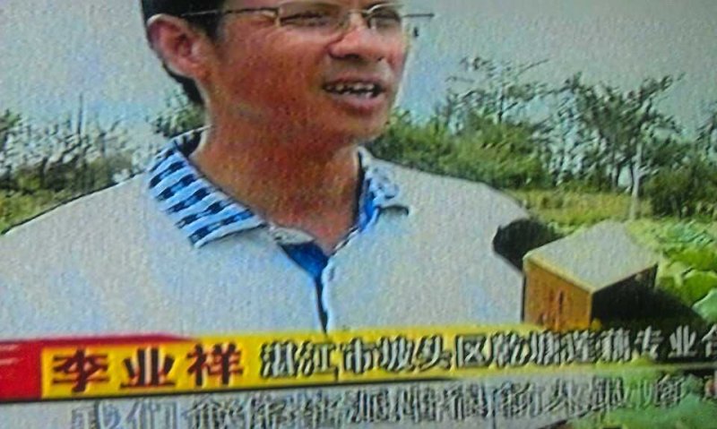 乾塘莲藕，物美价廉，现购现挖***********