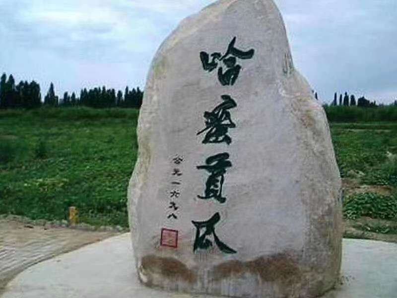 哈密瓜