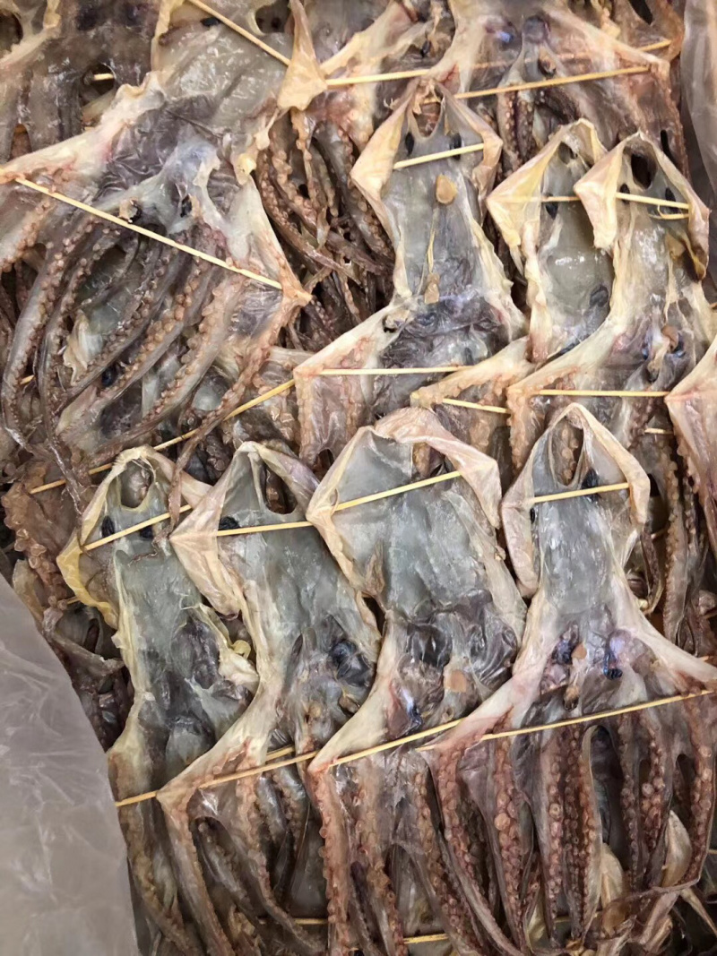 章鱼干，淡口，美味，烧烤，炖汤，