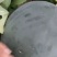 黑皮无籽花无籽西瓜山东无籽西瓜大量有货货源充足