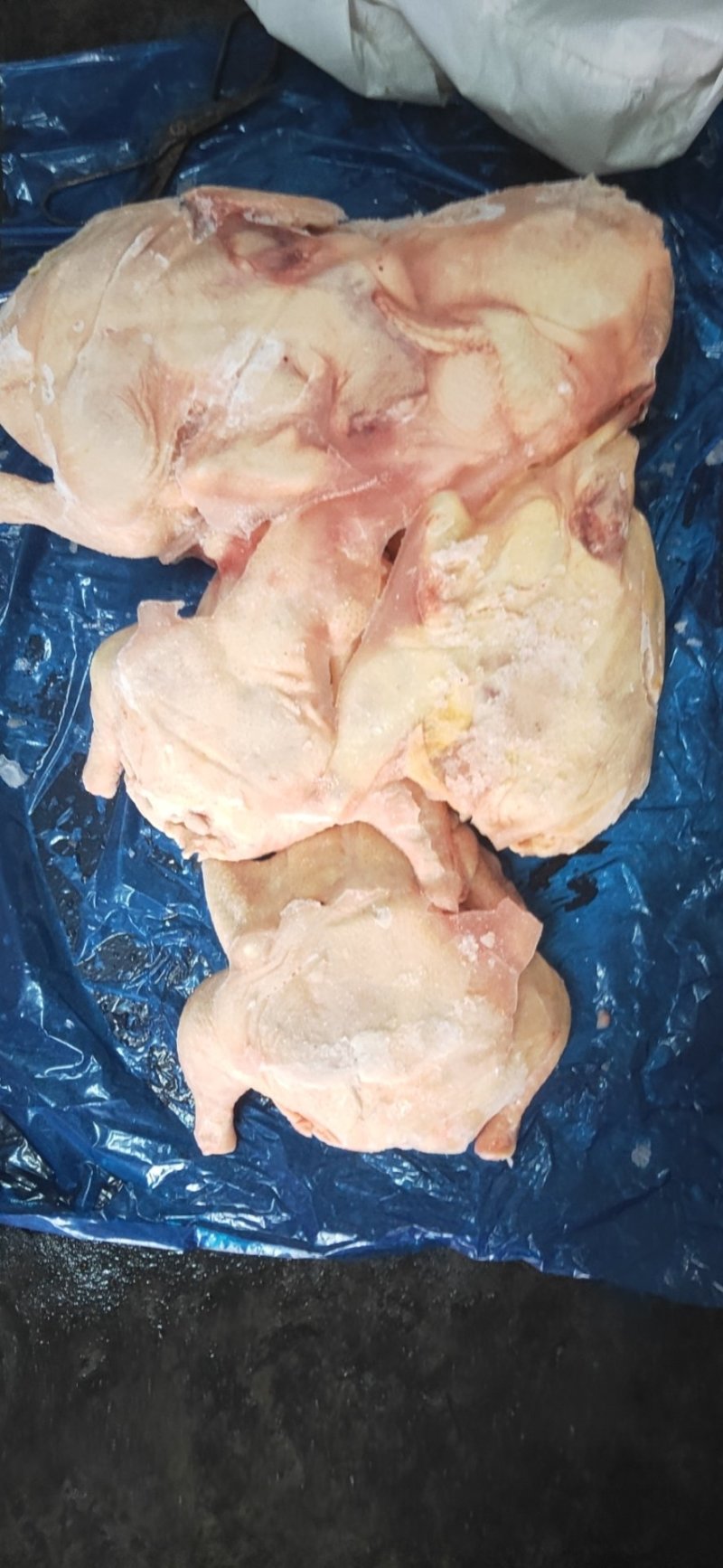 种母鸡白条(钦州九联食品)