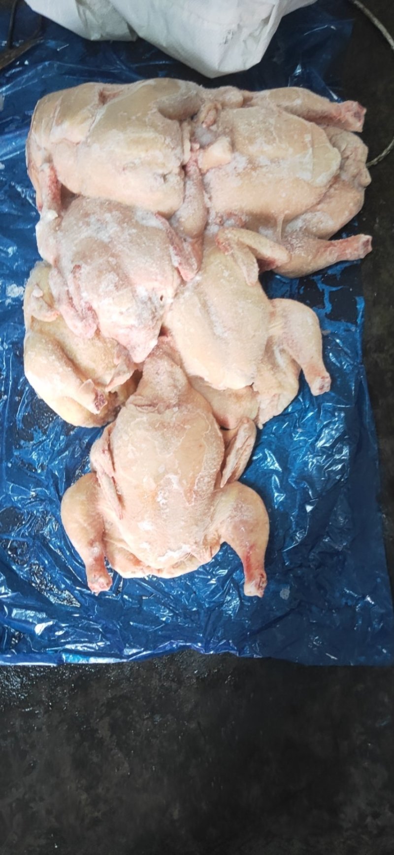 种母鸡白条(钦州九联食品)