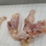 带脖去尾鸡全架(钦州九联食品)价格美丽！