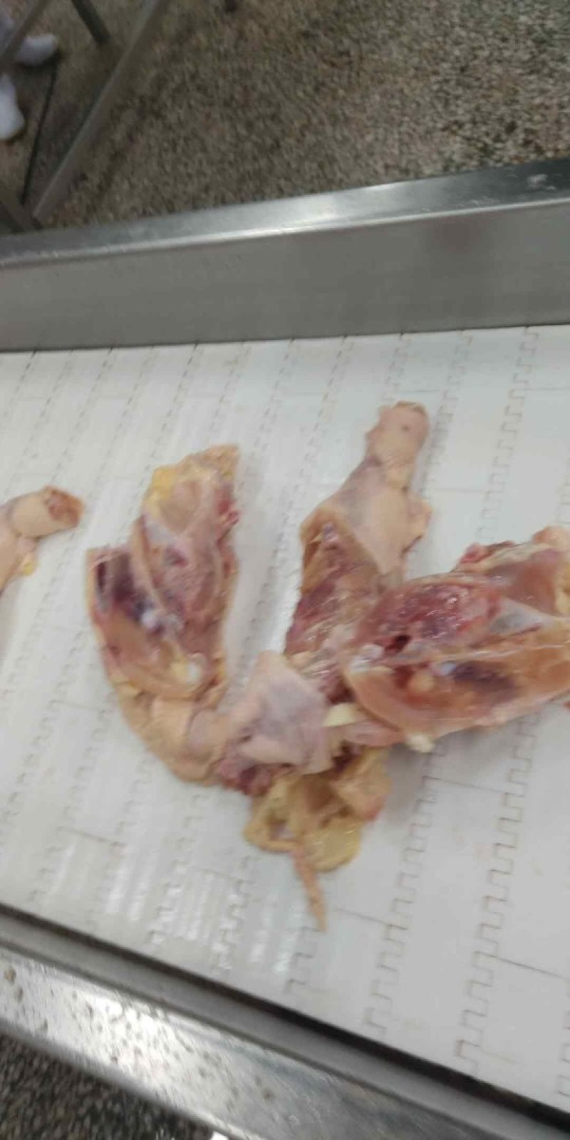 带脖去尾鸡全架(钦州九联食品)价格美丽！